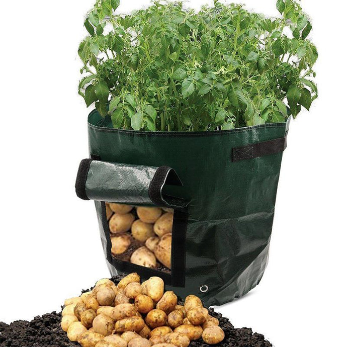 Potato Planting Bag With Drain Hole Cultivation